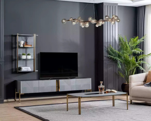 Insanely chic modern designer living room - TV chest of drawers in ash gray