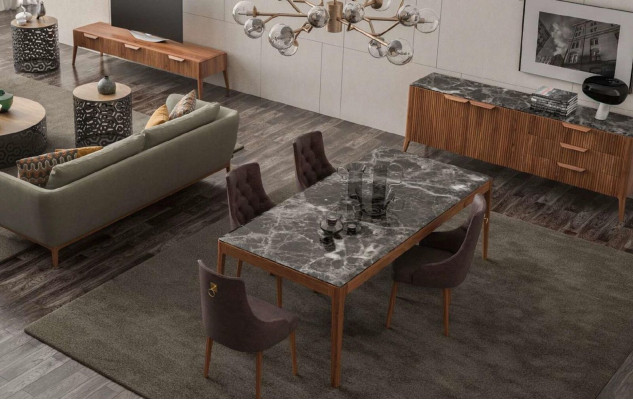 Dining room furniture Chair Luxury Dining chairs Brown comfortable textile chairs