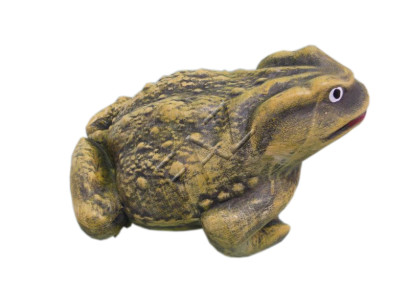 Design Frog Figure Garden Statue Sculpture Figures Sculptures Decoration c549