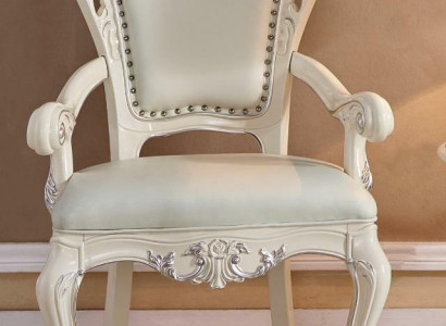 Luxury 1x Chair Dining room chair Living room chair Kitchen chairs Upholstered chair