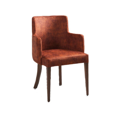 Chair Design Living room Dining room Real Wood Chairs Upholstery with Armrest new