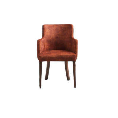 Chair Design Living room Dining room Real Wood Chairs Upholstery with Armrest new