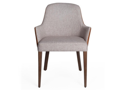 Chair Armchair Chairs Modern Furniture Dining room Armchairs Luxury Furnishings new