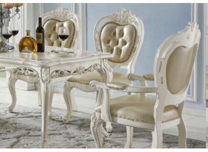 Dining room chair set armrest chairs single seater classic x6 chairs