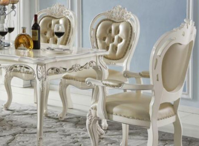 Dining room chair set armrest chairs single seater classic x6 chairs