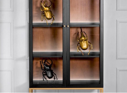 Display case Cabinets Showcases Wardrobe Wood Glass Furniture Design Living room Glass cabinet