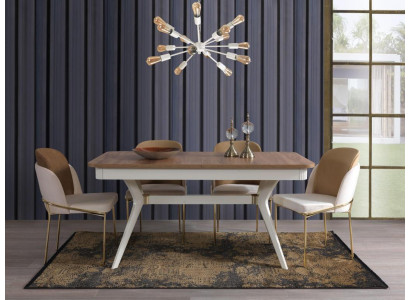 Complete Set Dining table 4x Chairs Dining room Set Ess Group Wood 5pcs