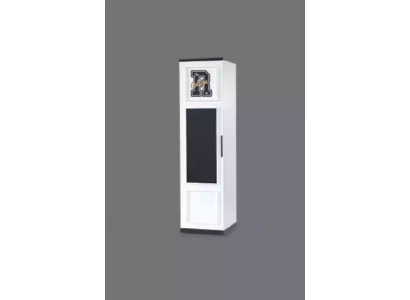 Shelf Wardrobe Bookshelf Cabinets Multipurpose Furniture Brown 171x45x40