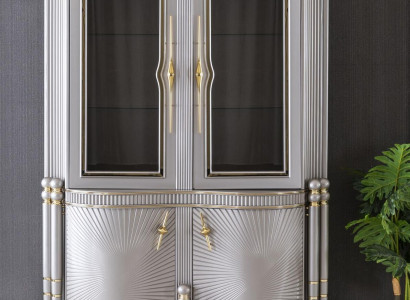 Display case Gray Dining room Wardrobe Shelf Design Elegant Furniture Metal new