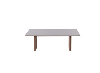 Coffee table 120 x 68 Table Furniture Furnishings Wooden tables Modern Furniture