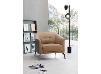 Armchair club chair lounge chair cocktail chair sofa armchair couches television