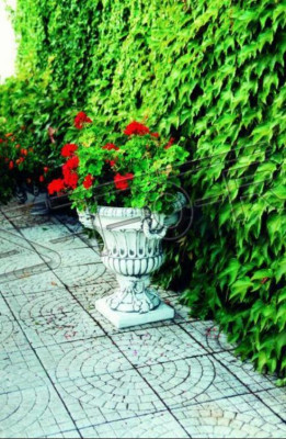 Flower pot plant pot decoration figure flower pots vases garden nature