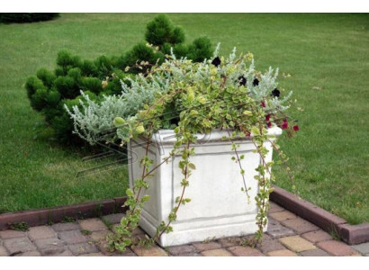 Flower pot plant pot decoration figure vases garden nature flower pots