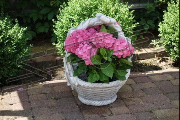 Flower pot plant pot decoration nature garden figure vases flower pots