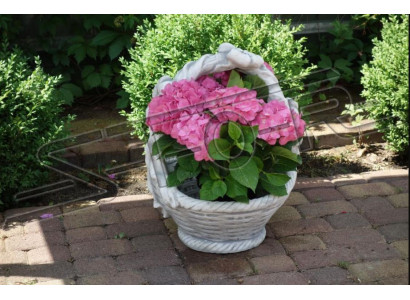 Flower pot plant pot decoration nature garden figure vases flower pots