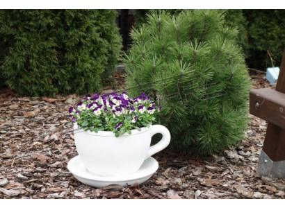 Flower pot plant pot nature decoration vases figure garden flower pots