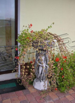 Flower pot plant natural pot decoration figure flower pots garden vases