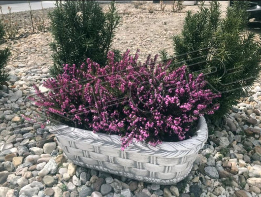 Flower pot planting natural pot decoration garden vases flower pots figure