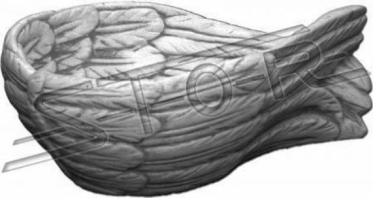 Decoration vessels bowls bowl angel wings key tray