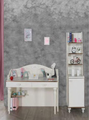 Bookshelf Desk Youth Room Furniture Shelves in the Children's Room 2pcs. set