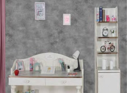 Bookshelf Desk Youth Room Furniture Shelves in the Children's Room 2pcs. set