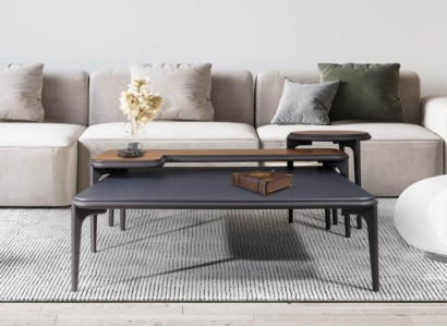 Chic living room set of 2x coffee table and side table 3 pieces.
