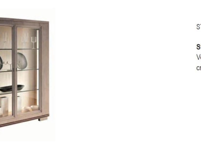 Living room Cabinets Design Wardrobe Furniture Glass new Display case 2 door Wardrobe showcases