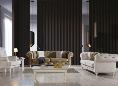 Stylish living room sofa set Dreistzer 2-Seater luxury armchair couch