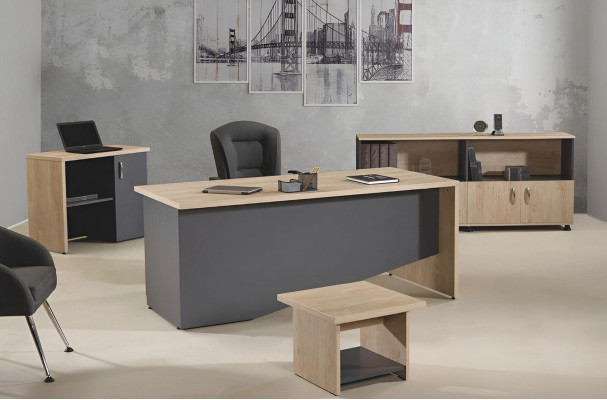Complete Office Office furniture Desk Office Office desk Set 4-piece Wood Gray