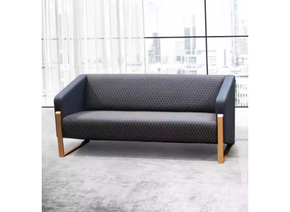 Sofa 2 Seater Luxury Furniture Couch Modern Designer Study Office Furniture