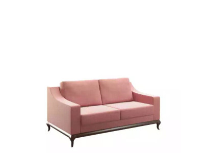 Modern Sofa 2 Seater Living room Design Furniture Style Modern new pink luxury