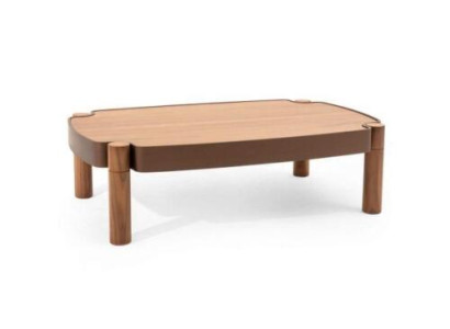 Stylish Wood Coffee table with wooden top Luxurious Furniture for Living room