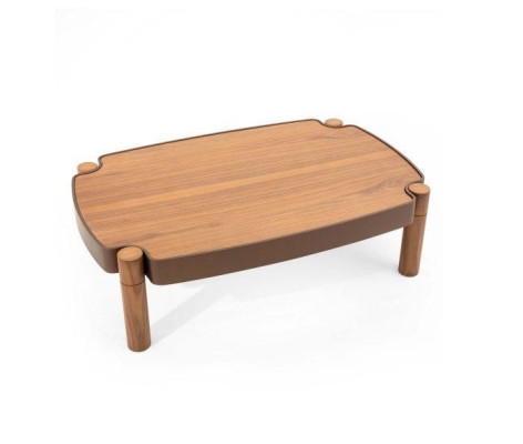 Stylish Wood Coffee table with wooden top Luxurious Furniture for Living room