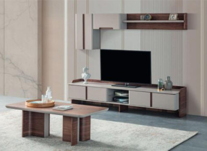 Stylish living room wall set designer TV lowboard wood coffee table