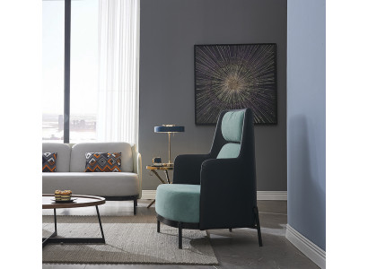 Armchair club chair lounge chair cocktail chair armchair sofa couches television new