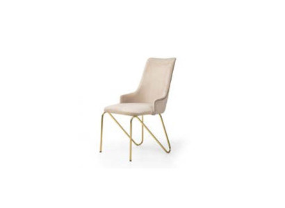 Luxurious chair in universal white color for modern dining room