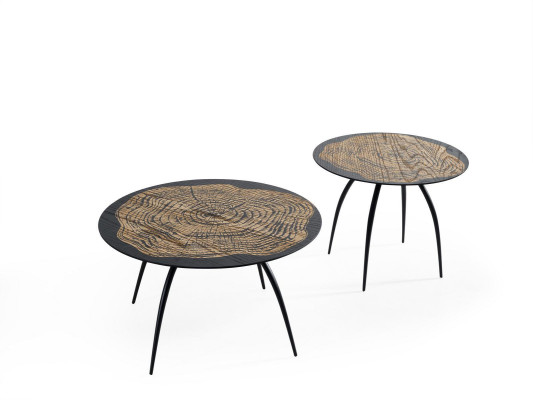 Coffee table Coffee table Design Round Table Living room table Table