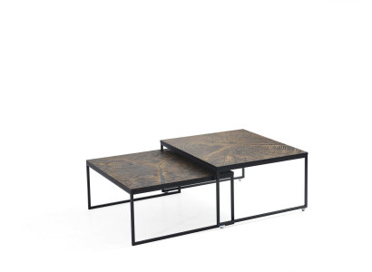 Coffee table Luxury Side table Furniture Wood Modern Living room Design