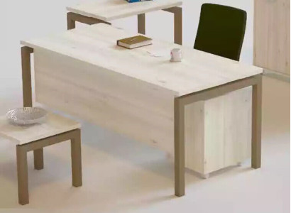 Modern Desk Luxury Office furniture Wood Table Study room Furniture
