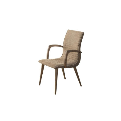 Group Chairs with Armrests Kitchen chairs Dining chairs Set 6pcs Wood
