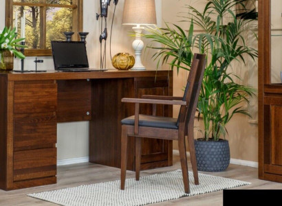 Table Desk Wooden table Computer desk Solid wood Office desk Office furniture Tables