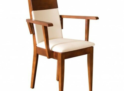 Chairs Chair Armchair Upholstery Solid Wood Textile Wood Armchair Leather new Lounge