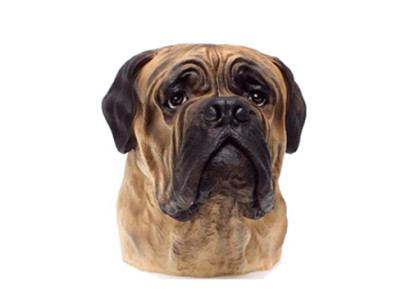 Decorative figure statue sculpture 35 cm figures statues sculptures bull dog bust A182