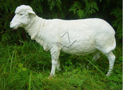 Design sheep standing figure garden statue sculpture figures sculptures decoration new