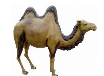 Camel Life Size Figure Decoration Statues Sculpture Garden Decorative Figures 210cm