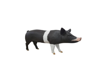 Fattening Pig Farm Decoration Garden Statue Animal Sfrom age Statues 160cm Figures