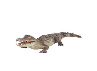 Crocodile Garden Decoration Life Size Statue Figures Sculpture 198cm Statues Figu