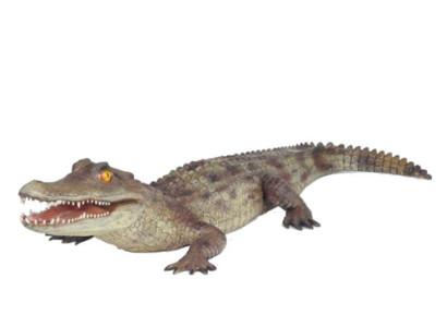 Crocodile Garden Decoration Life Size Statue Figures Sculpture 198cm Statues Figu
