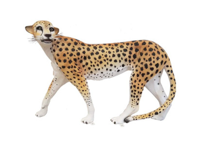 Decoration Garden Figures Statue Sculpture Leopard Decorative Statues Figure 85x135cm