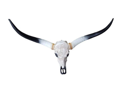 Bull Cattle Skull Decoration Not Real 100cm Wall Design Water Buffalo Skull